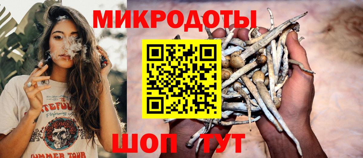Галлюциногенные грибы прущие грибы Ставрополь