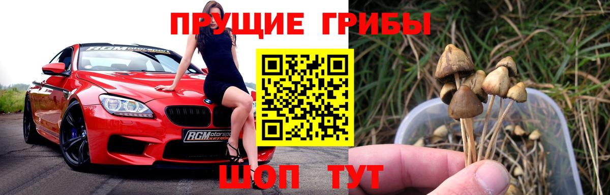 Псилоцибиновые грибы Cubensis  Псилоцибиновые грибы ЛСД  Ставрополь 